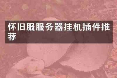 怀旧服服务器挂机插件推荐