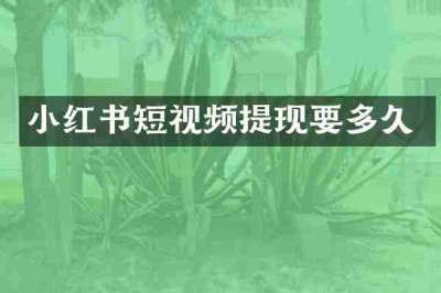 小红书短视频提现要多久