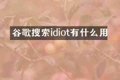 谷歌搜索idiot有什么用