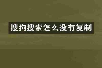 搜狗搜索怎么没有复制