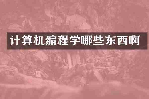 计算机编程学哪些东西啊