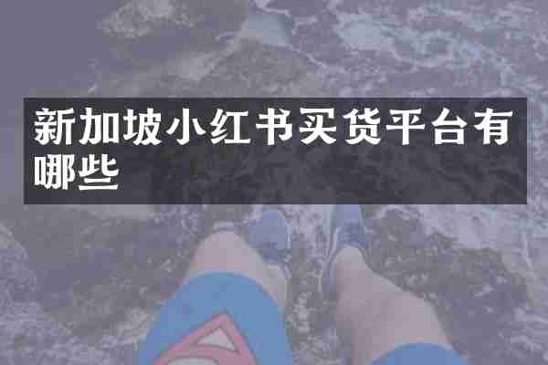 新加坡小红书买货平台有哪些