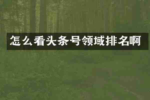 怎么看头条号领域排名啊