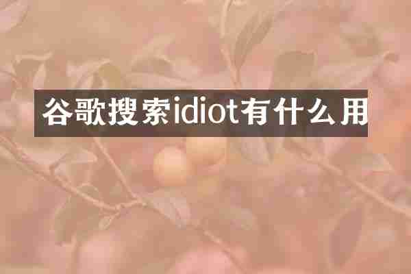 谷歌搜索idiot有什么用