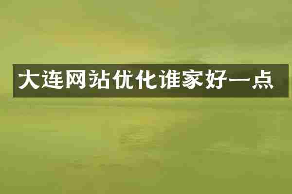 大连网站优化谁家好一点