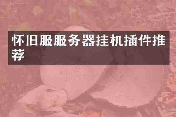 怀旧服服务器挂机插件推荐