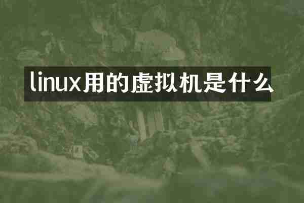 linux用的虚拟机是什么