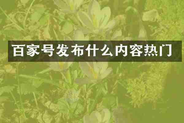 百家号发布什么内容热门
