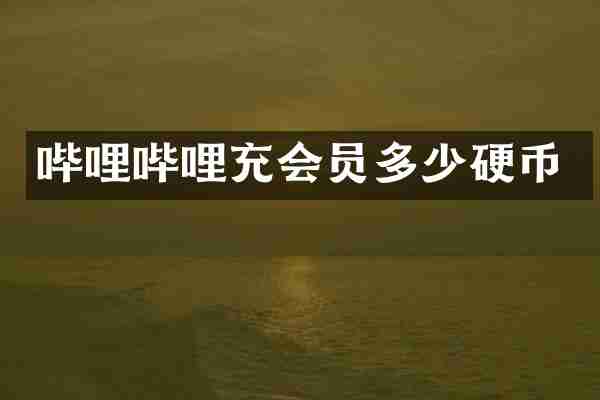哔哩哔哩充会员多少硬币