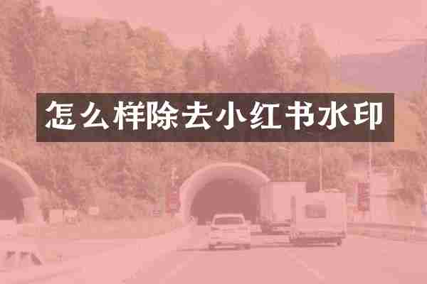 怎么样除去小红书水印