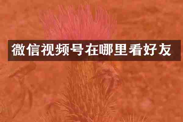 微信视频号在哪里看好友