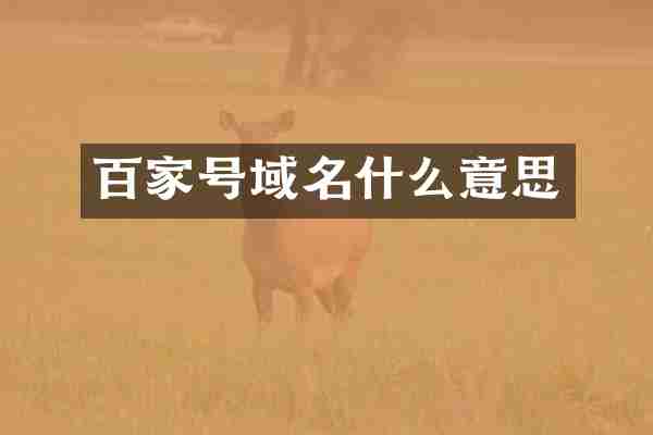 百家号域名什么意思
