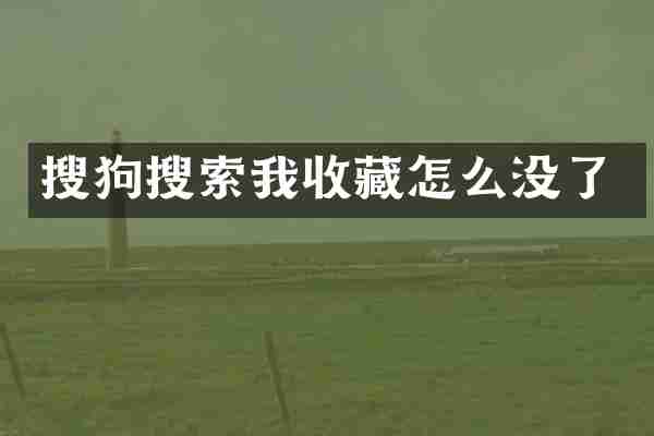 搜狗搜索我收藏怎么没了