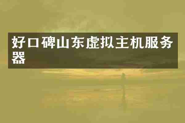 好口碑山东虚拟主机服务器