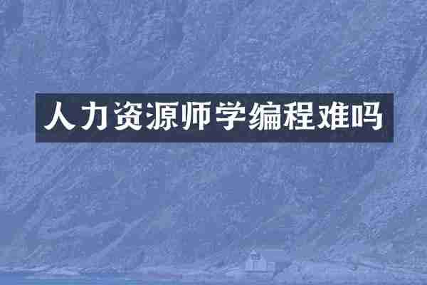人力资源师学编程难吗
