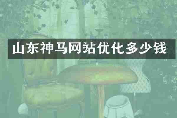 山东神马网站优化多少钱