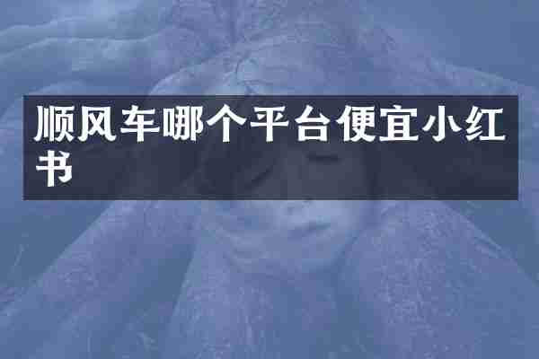 顺风车哪个平台便宜小红书