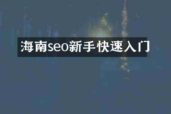 海南seo新手快速入门