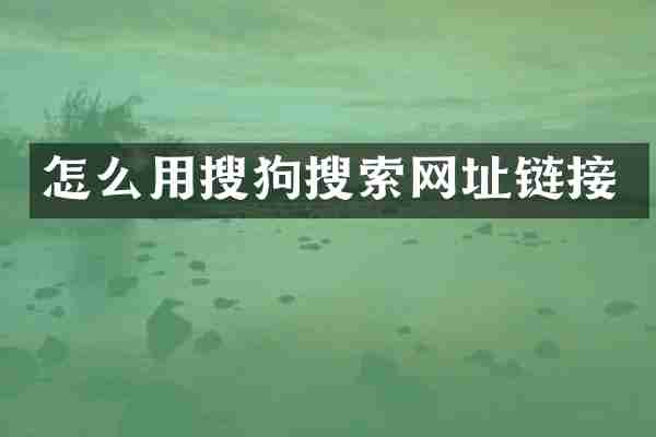 怎么用搜狗搜索网址链接