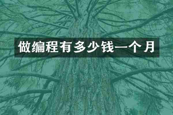 做编程有多少钱一个月