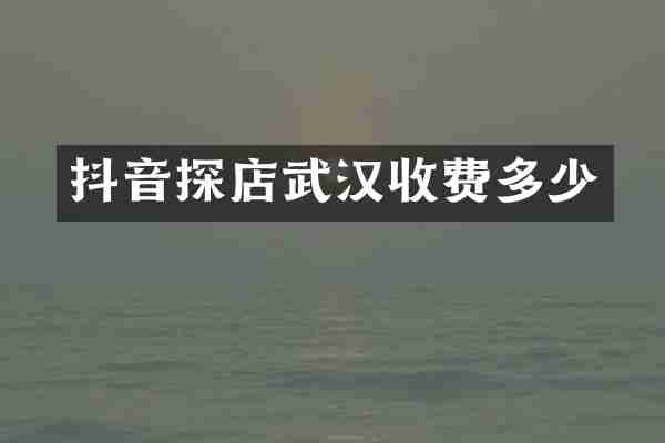 抖音探店武汉收费多少