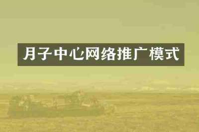 月子中心网络推广模式