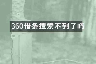 360借条搜索不到了吗