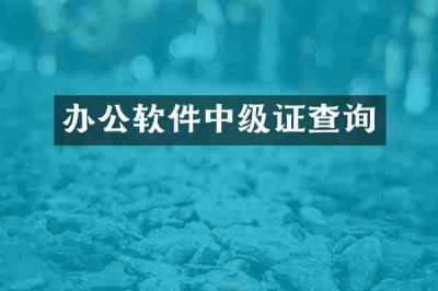 办公软件中级证查询