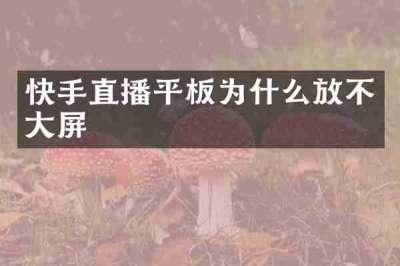 快手直播平板为什么放不大屏