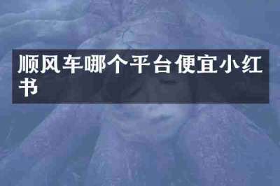 顺风车哪个平台便宜小红书