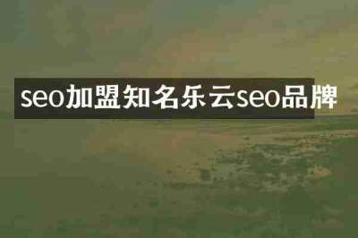 seo加盟知名乐云seo品牌