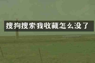 搜狗搜索我收藏怎么没了