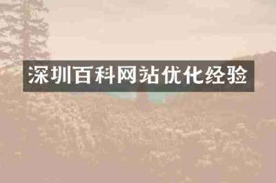 深圳百科网站优化经验