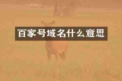 百家号域名什么意思
