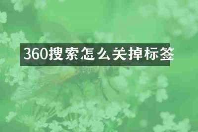 360搜索怎么关掉标签