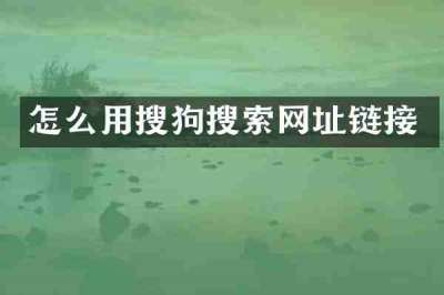 怎么用搜狗搜索网址链接