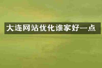 大连网站优化谁家好一点