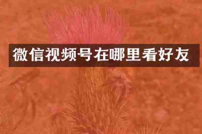 微信视频号在哪里看好友