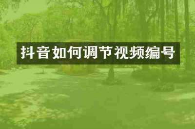 抖音如何调节视频编号