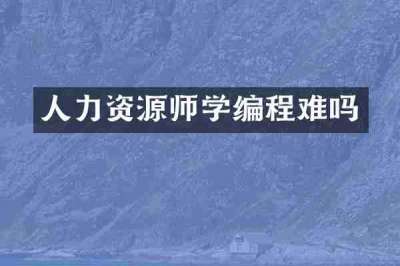 人力资源师学编程难吗