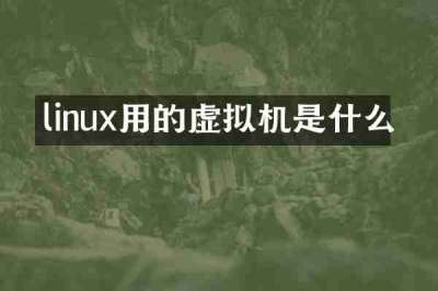 linux用的虚拟机是什么