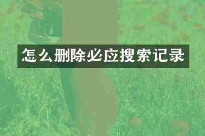 怎么删除必应搜索记录