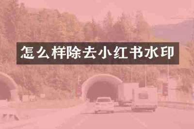 怎么样除去小红书水印