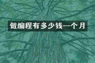 做编程有多少钱一个月