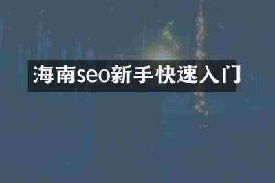 海南seo新手快速入门