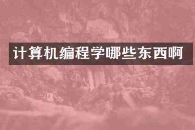 计算机编程学哪些东西啊