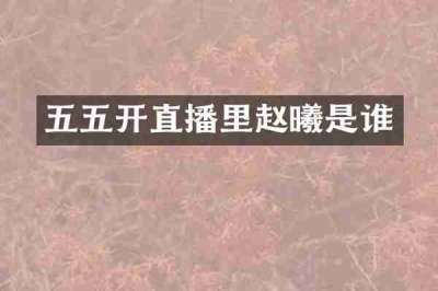 五五开直播里赵曦是谁