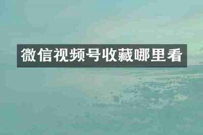 微信视频号收藏哪里看