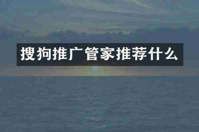 搜狗推广管家推荐什么