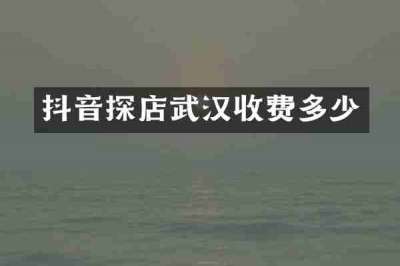 抖音探店武汉收费多少